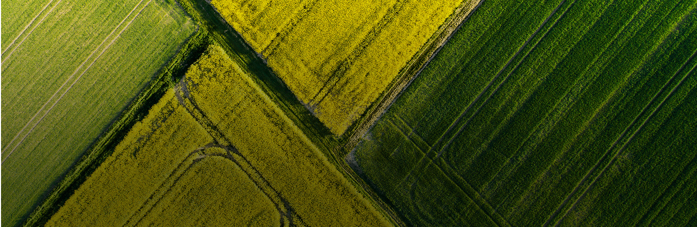 Aerial view of farmland in patchwork colours